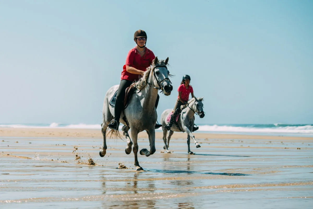 Littoral - plage - équitation - chevaux @sebastien_chebassier (2)