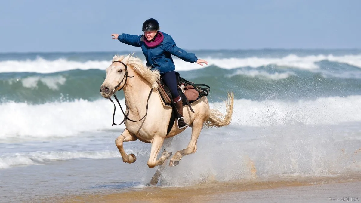 Caballo en el mar