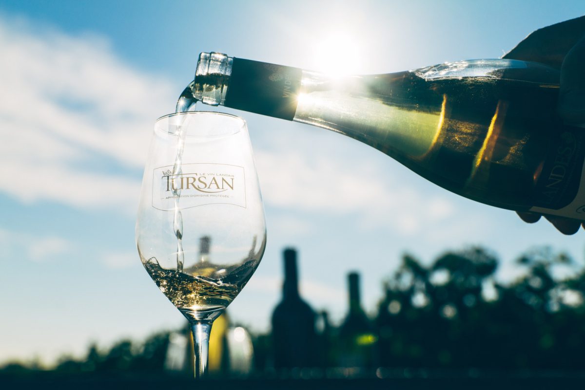Degustation de vin de Tursan