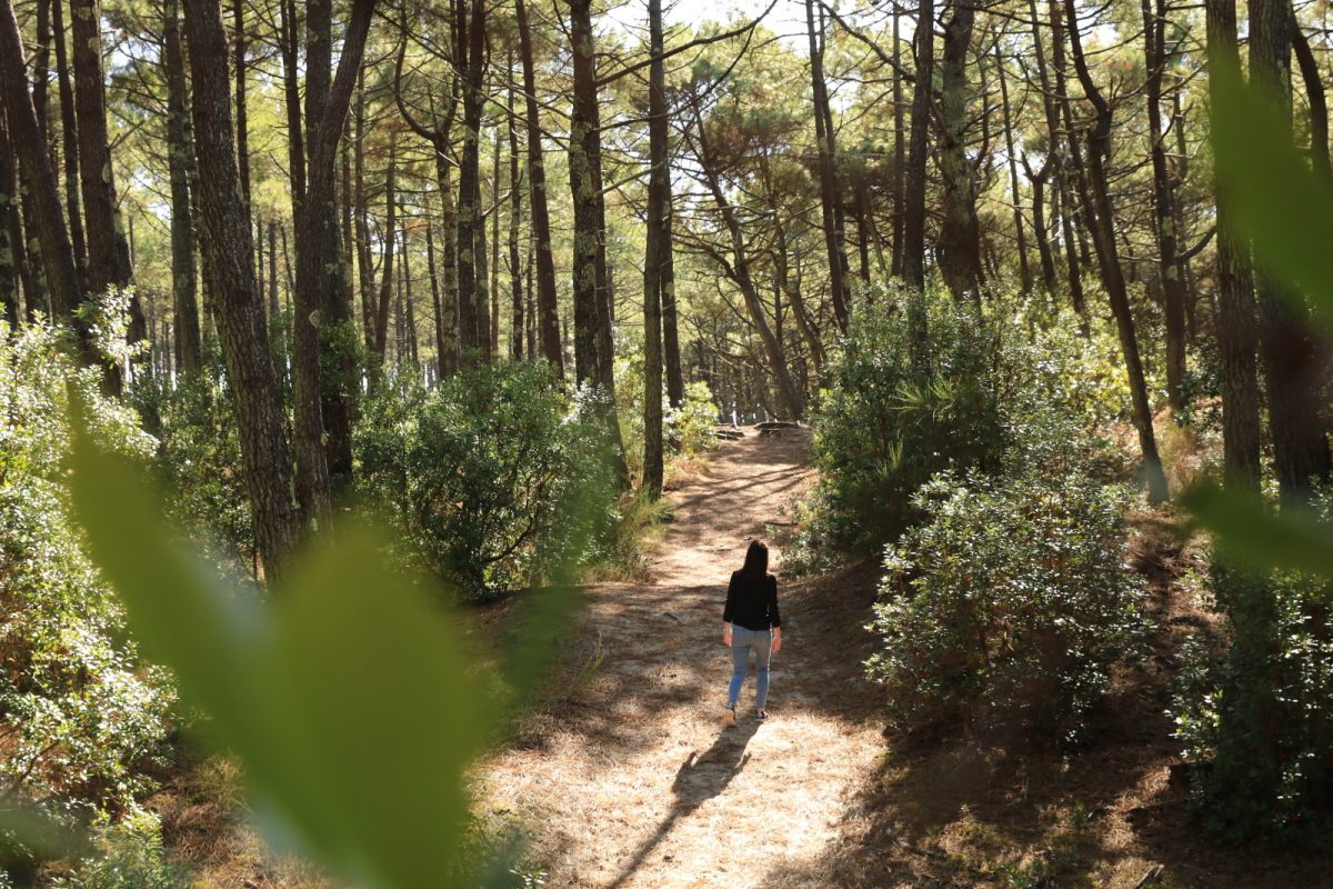 Circuit du Cap de l'Homy a Lit-et-Mixe