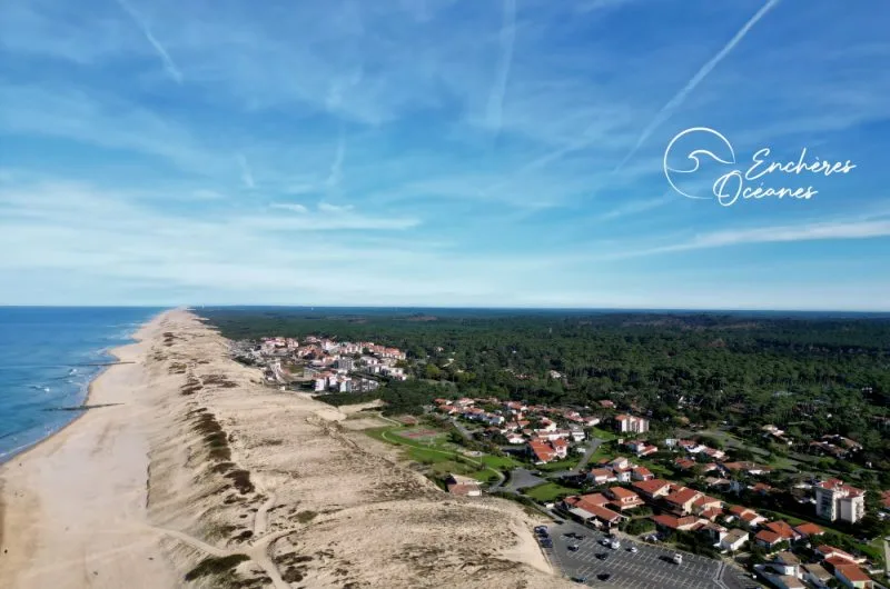 ©Enchères Océanes 2023 (8)