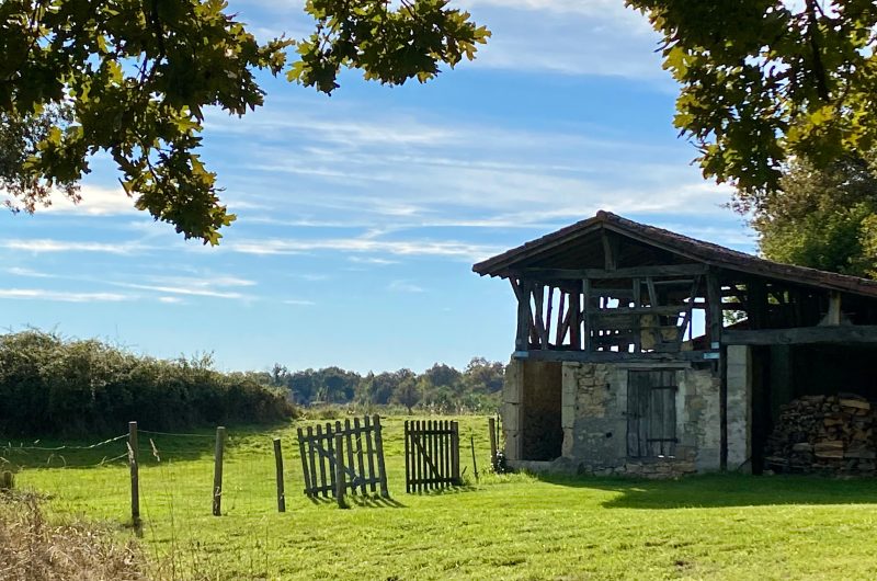 (17) 2025 – BETB – Domaine de Bourgade – Extérieurs – ©Mme COLIER Corinne