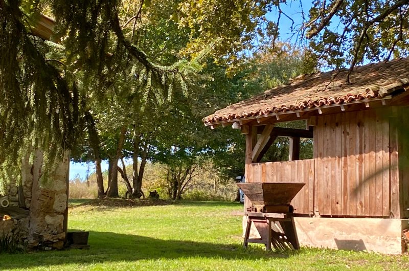 (20) 2025 – BETB – Domaine de Bourgade – Extérieurs – ©Mme COLIER Corinne