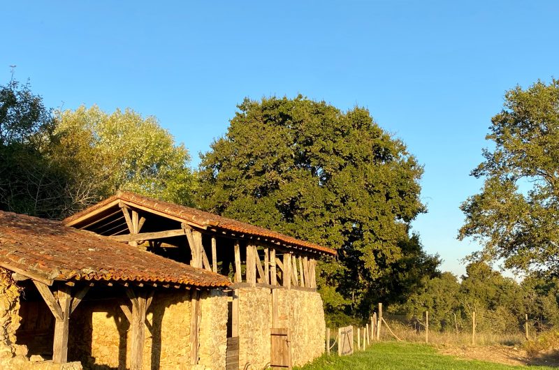 (22) 2025 – BETB – Domaine de Bourgade – Extérieurs – ©Mme COLIER Corinne