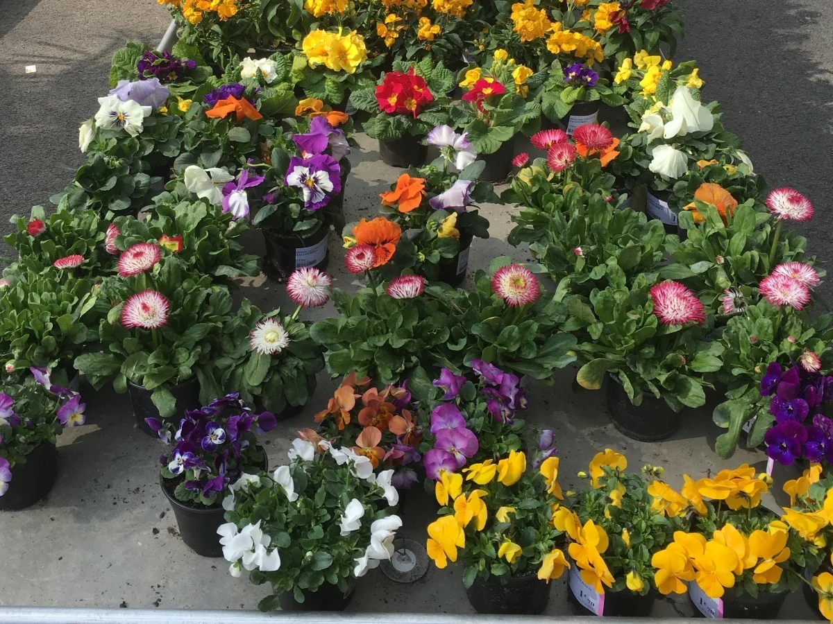 -BricoMarche-2016–4–bis