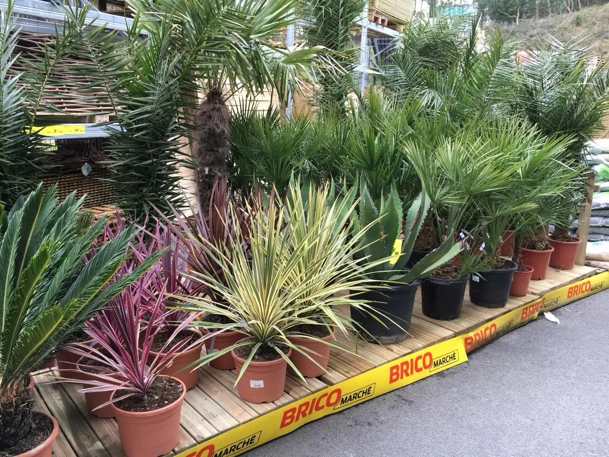 -BricoMarche-2016–6-