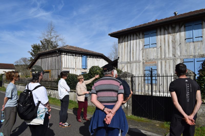 @CLNT_Maynette_Lévignacq2026TS2