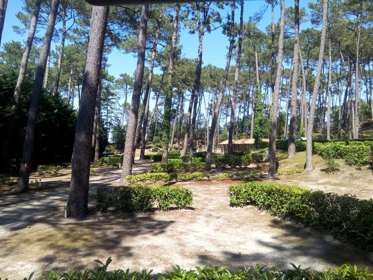 Campéole l’Etang Blanc 2016