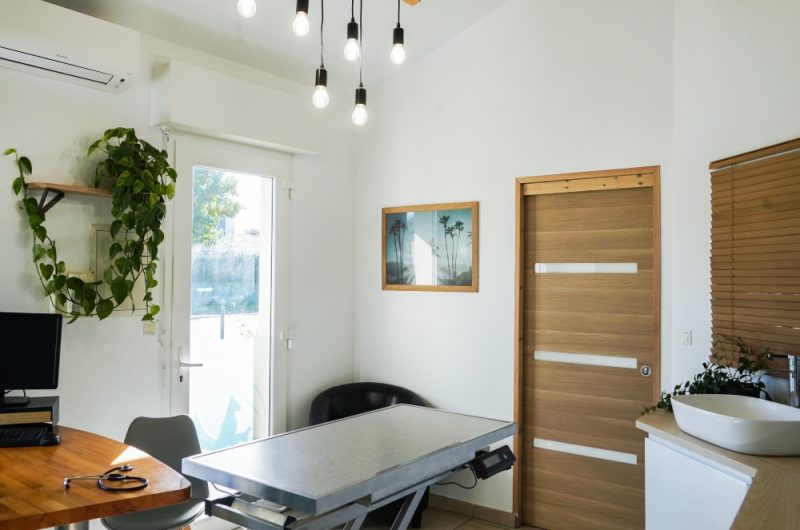 ©Clinique Veterinaire Seignosse 2023 Charles Juillet  (1)