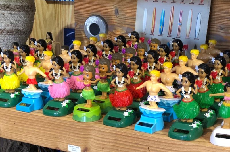 ©Esprit des Iles 2026 (5)