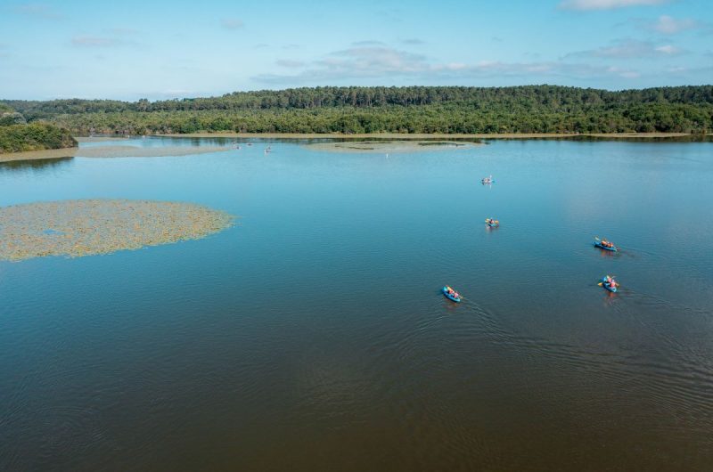 -LandesAtlantiqueSud-25