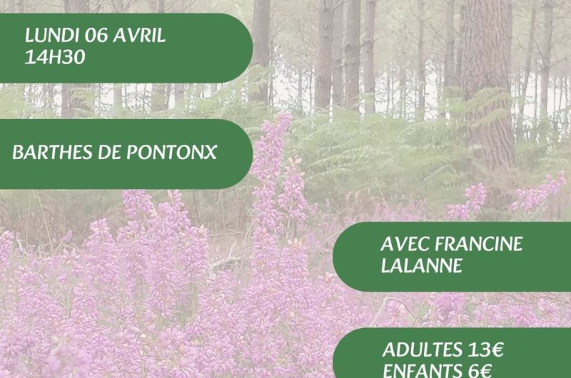 Visites, balades de l’OT – 2