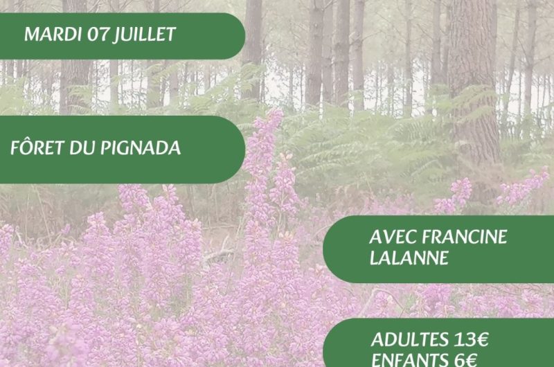 Visites, balades de l’OT – 7