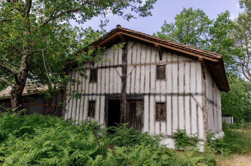 1-gemmage-bisca-grands-lacs-les-conteurs-59