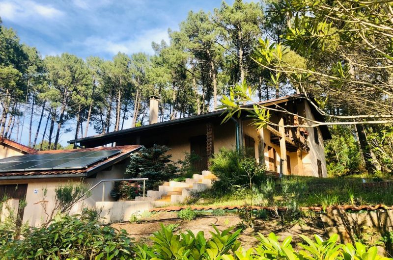 101 Villa Nolmar_Messanges_Landes Atlantique Sud