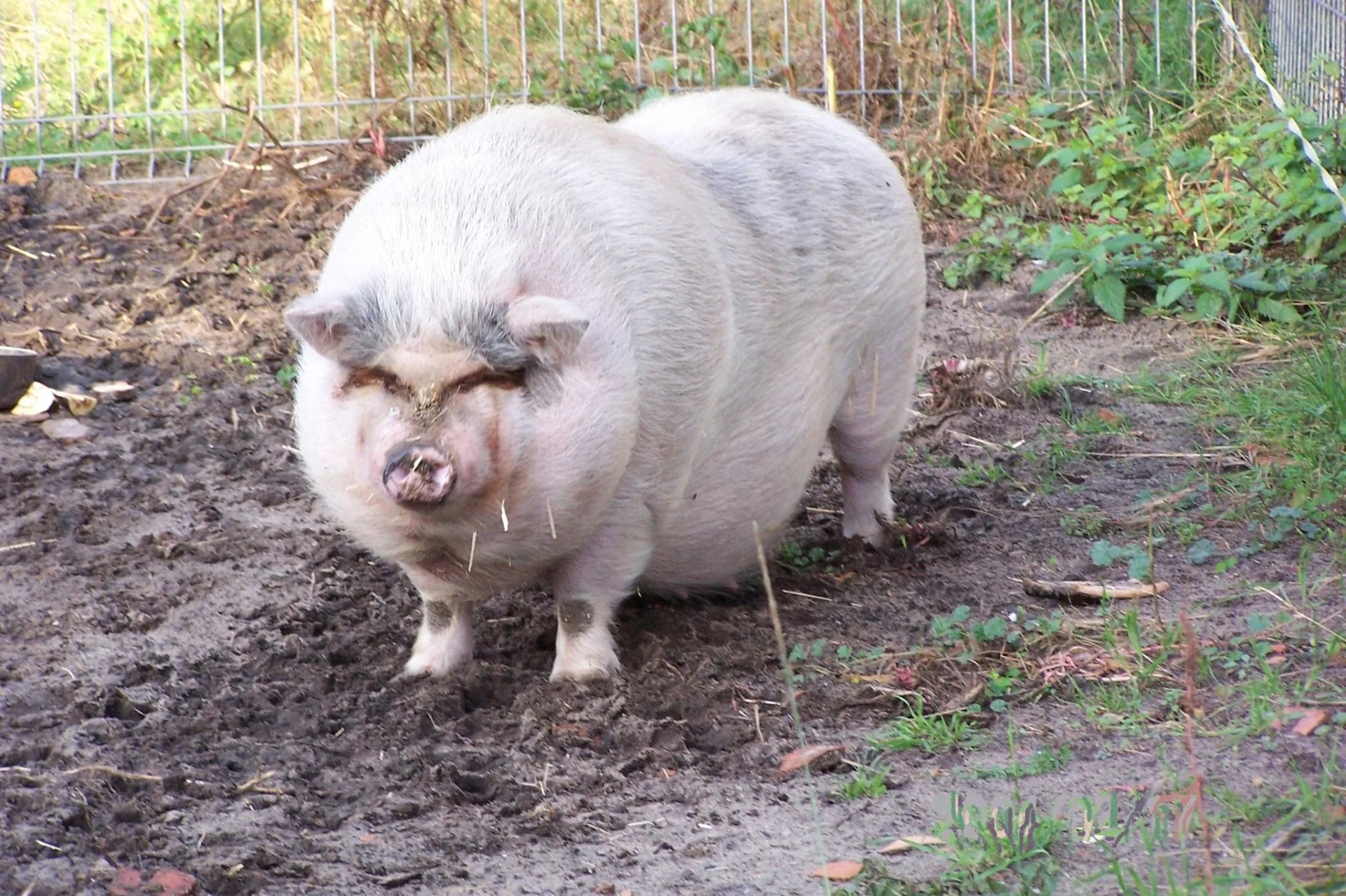 10353298_338699189614297_600632640371427121_o