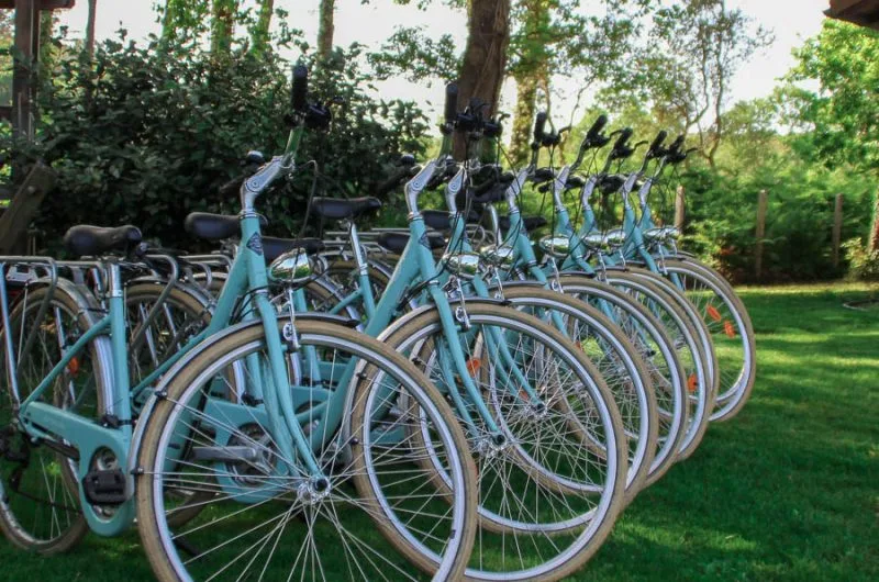 110-locations-glorieux-landes-atlantique-bnb1-HLOAQU040V50GCNN-size2048