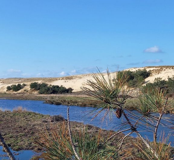 111 Morin_Moliets_Landes Atlantique Sud