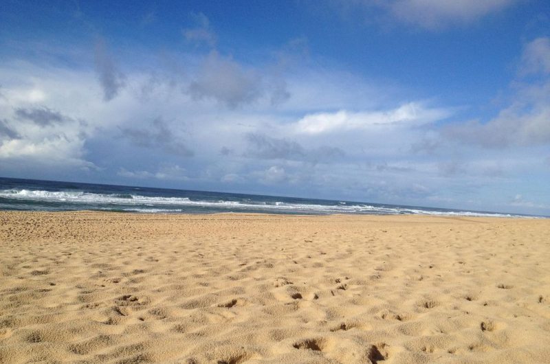 111-grillondor-vieuxboucau-bnb1-HLOAQU040V50UXGX-size2048