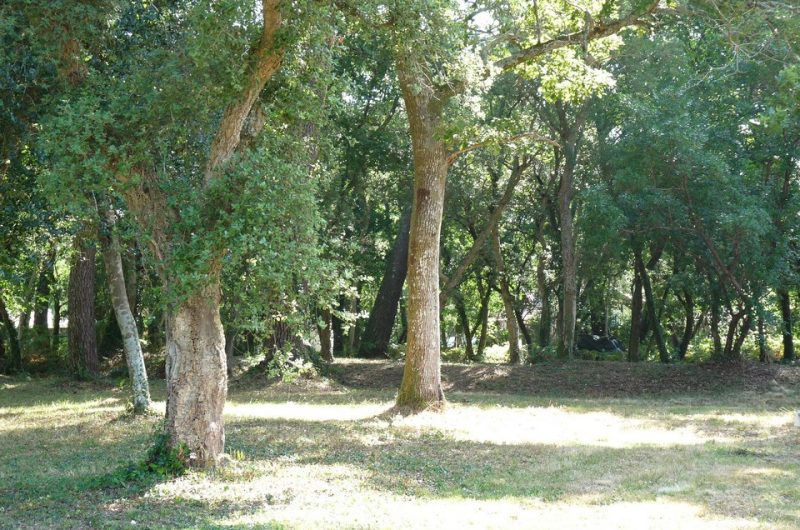 115_Villa du Coy_Messanges_Landes Atlantique Sud