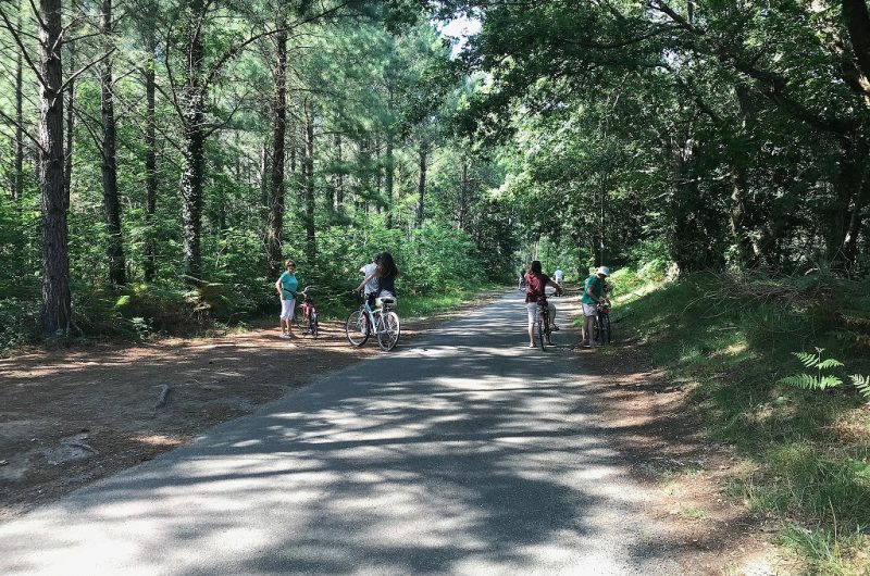 115-chez-mpjp-soustons-bnb1-HLOAQU040V50TDJF-size2048