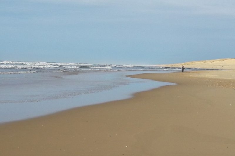 117 Cazaux_Moliets_Landes Atlantique Sud