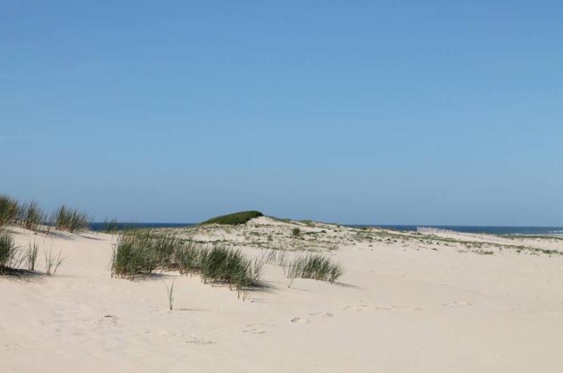 117 Villa 930-EMI_Moliets_Landes Atlantique Sud