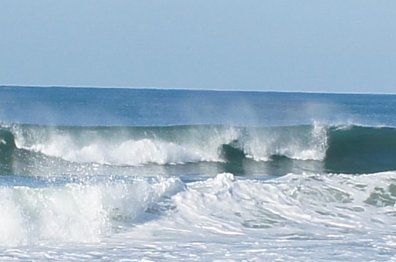 118 L’Océan des Landes_Messanges_Landes Atlantique Sud