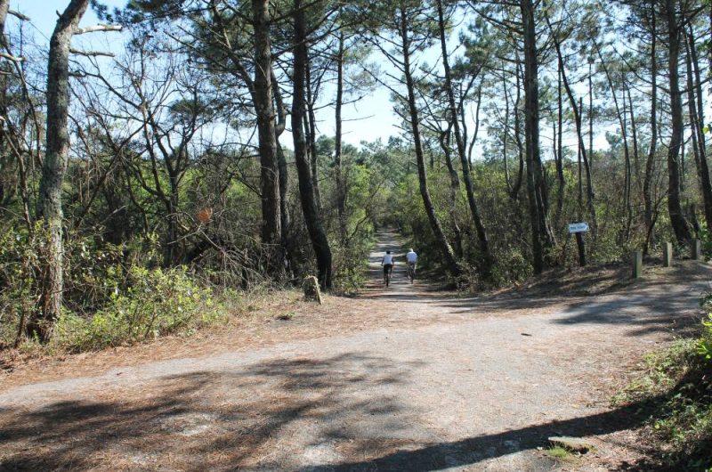 120- Villa 930-EMI_Moliets_Landes Atlantique Sud