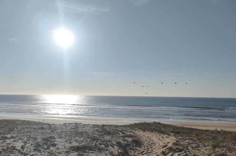 120 Villa Alice sur le Golf_Moliets_Landes Atlantique Sud