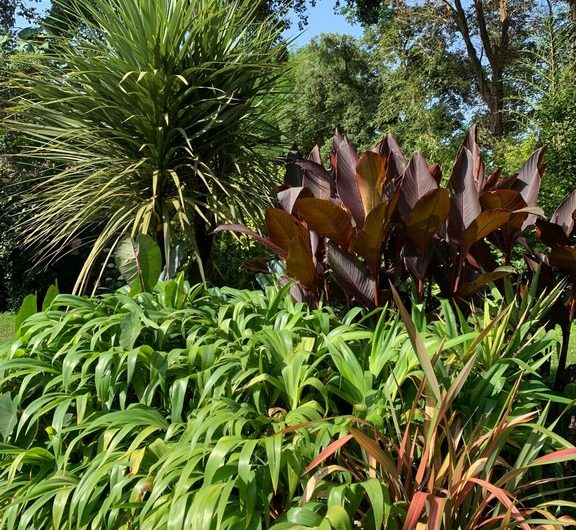 122 Les Cabanes de l’Océan_Messanges_Landes Atlantique Sud