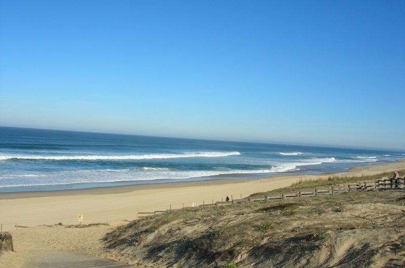 124 Maison Agapanthe_Moliets_Landes Atlantique Sud