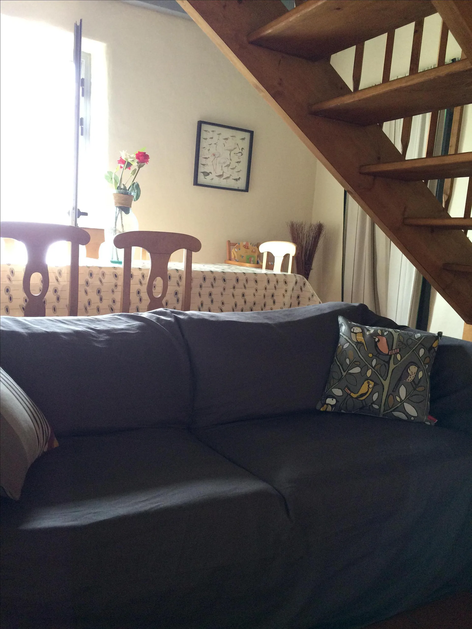 173-gites-marais-orx-bnb4-HLOAQU040FS00016-size2048