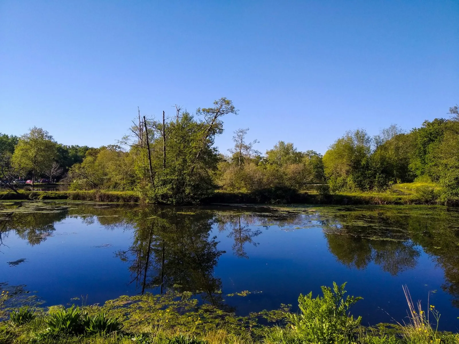 Etang et tant…