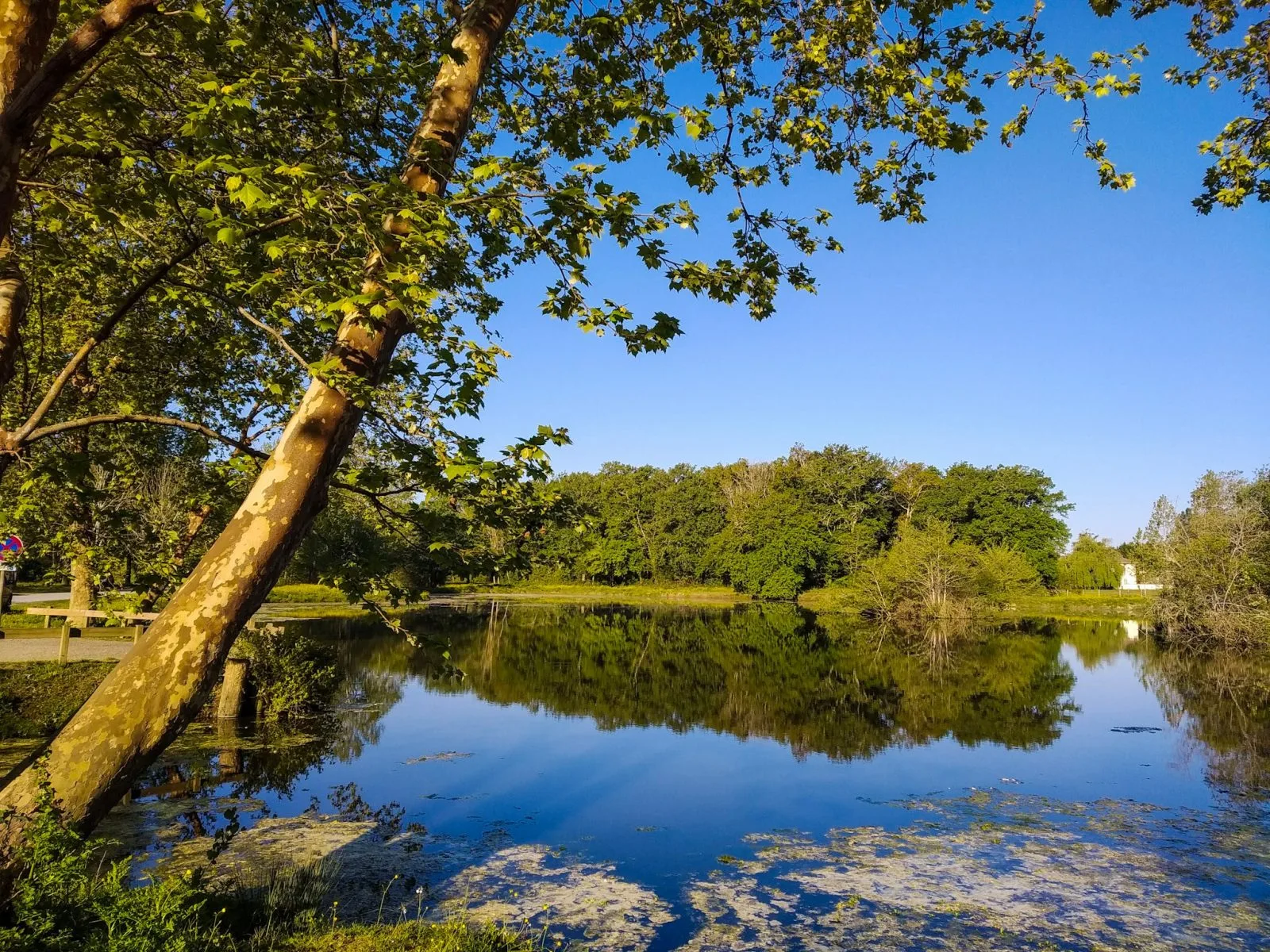 Etangs de la Gravière