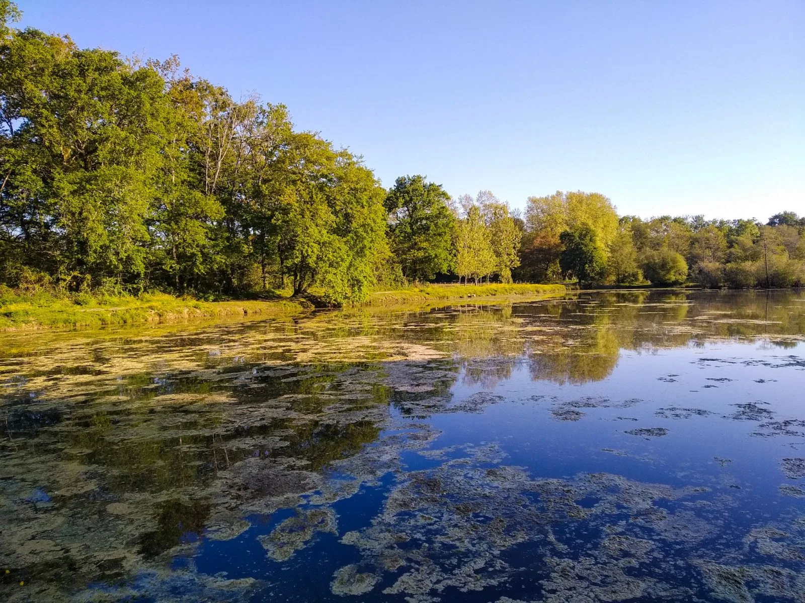 Etangs de la Gravière