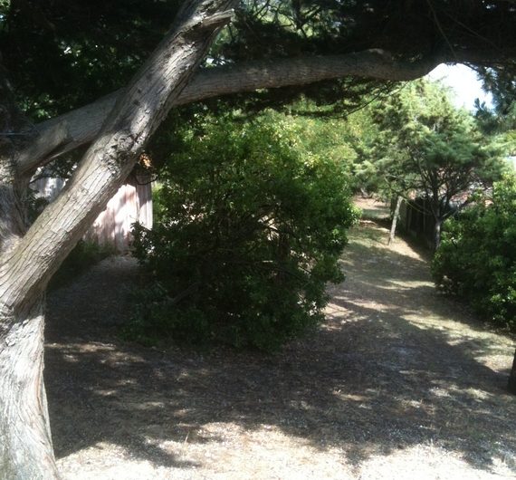 2019-ARNAUDIN–6–2