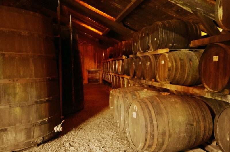 2020-LABA-Domaine Jaurrey Laberdolive Armagnac chai-©OTLandes d’Armagnac-EC (8)