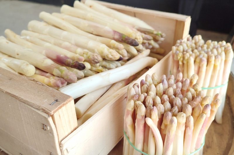 2023 – CACH – Ferme des Sables Blancs – Asperges – ©Ferme des Sables Blancs (2)