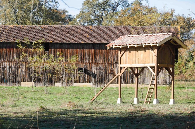 2023 – CACH – Gîte Prébendéron – Extérieur poulailler – ©Joackim di Dio (1)