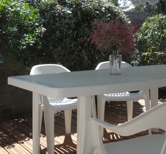 2023_belmont1 (Copier)