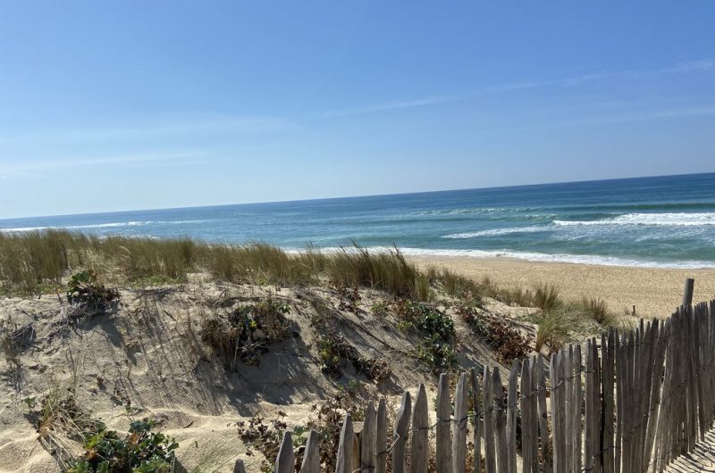 2023_belmont11 (Copier)