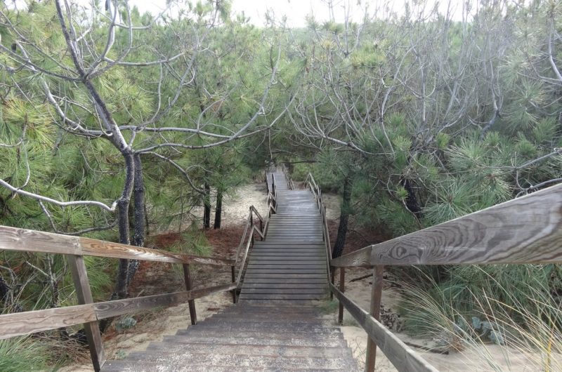 2023_belmont2 (Copier)