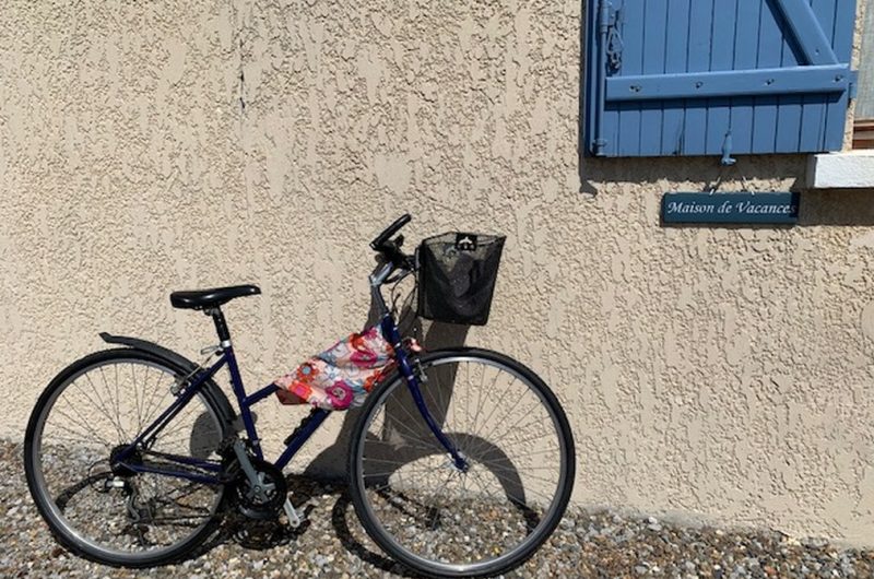 2023_cerantola_colibri8 (Copier)