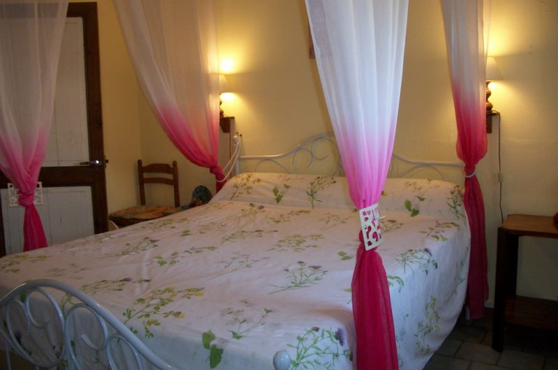 2023_cugnet_ecureuil (5) (Copier)