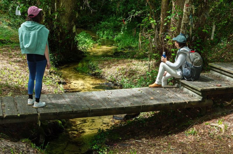 2024 – LOSS – Sources de Moncaut – ©Arnaud Späni (9)