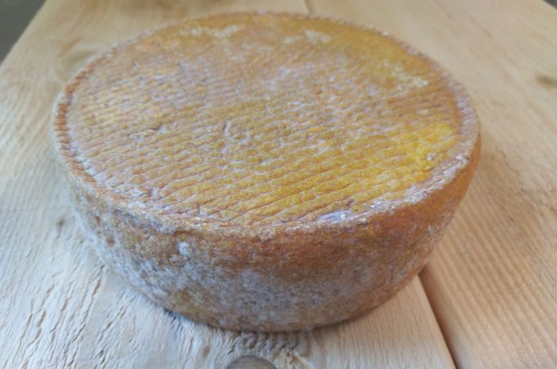 2024 – MAIL – Bergerie de Maillas – Fromage la tomme – ©Marion POUTAYS