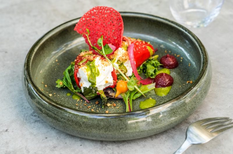 2024 – STJUS – Cadet de Gascogne – Plat – ©Studio Art et Lumière