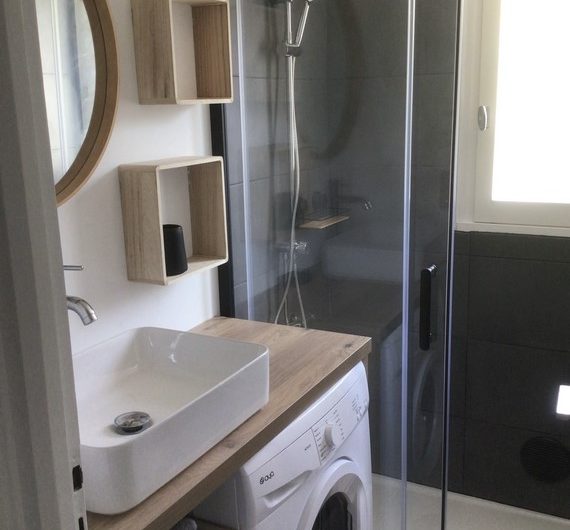 2024_coyola (2) (Copier)