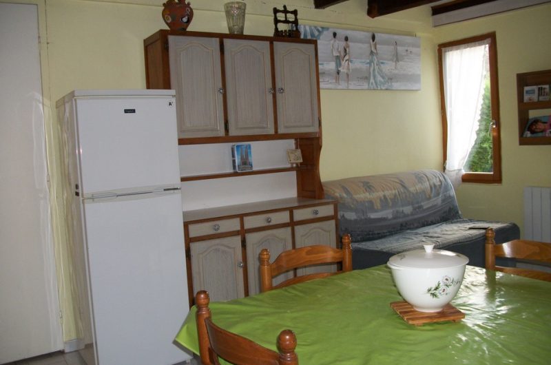 2024_cugnet_hirondelle (4) (Copier)